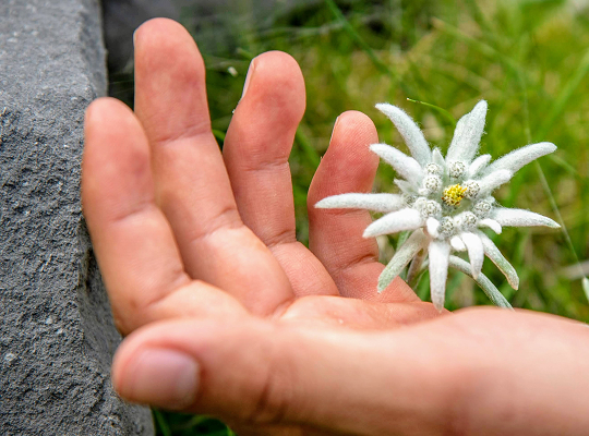 product image (6) product image (6)